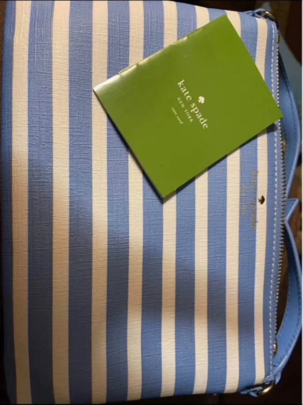 kate spade Blue and White Striped Crossbody Bag small  6x9